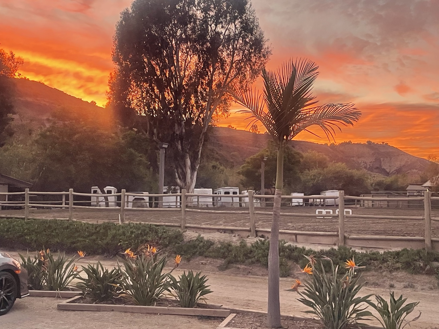 An orange sunset over the riding grounds, trees, and hills at Rio SJC Stables
